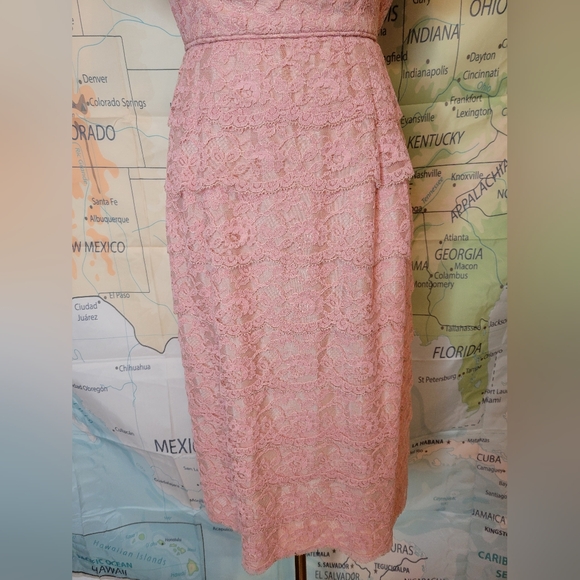 Vintage 1950s Pink Lace Cocktail Dress By Form Fit New York Knee Lenght - Picture 3 of 16